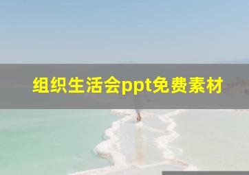 组织生活会ppt免费素材