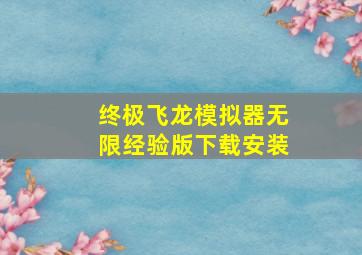 终极飞龙模拟器无限经验版下载安装