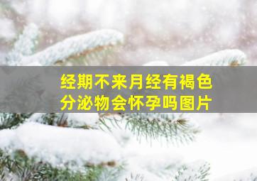 经期不来月经有褐色分泌物会怀孕吗图片