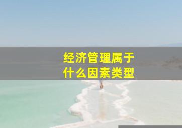 经济管理属于什么因素类型