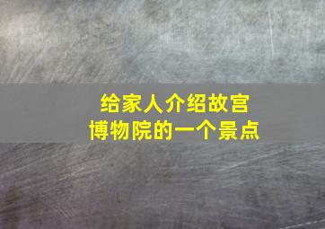 给家人介绍故宫博物院的一个景点