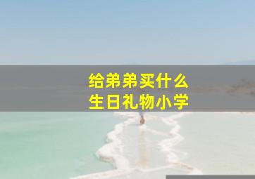 给弟弟买什么生日礼物小学