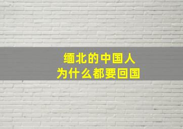 缅北的中国人为什么都要回国