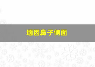 缅因鼻子侧面