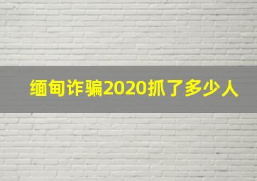 缅甸诈骗2020抓了多少人