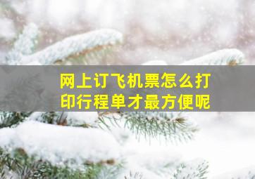 网上订飞机票怎么打印行程单才最方便呢