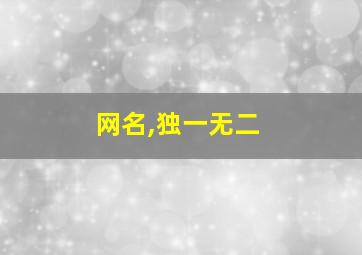 网名,独一无二