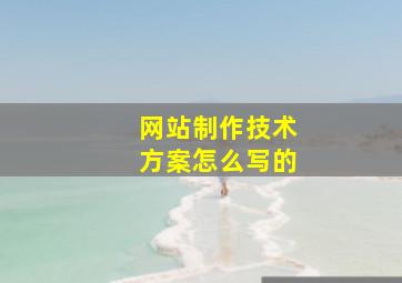 网站制作技术方案怎么写的