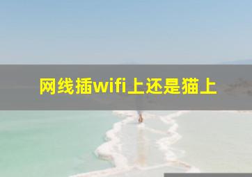 网线插wifi上还是猫上