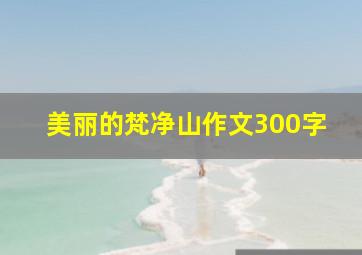 美丽的梵净山作文300字