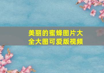 美丽的蜜蜂图片大全大图可爱版视频