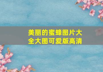 美丽的蜜蜂图片大全大图可爱版高清