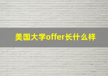 美国大学offer长什么样