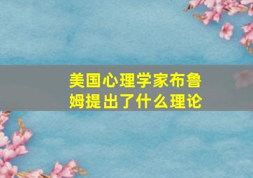 美国心理学家布鲁姆提出了什么理论