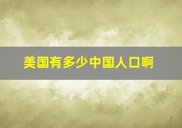 美国有多少中国人口啊