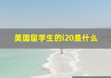 美国留学生的i20是什么