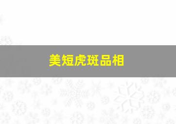 美短虎斑品相