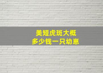 美短虎斑大概多少钱一只幼崽