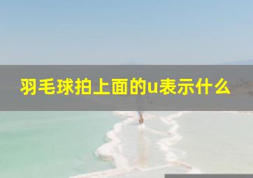 羽毛球拍上面的u表示什么