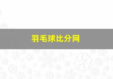 羽毛球比分网