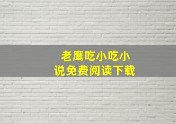 老鹰吃小吃小说免费阅读下载