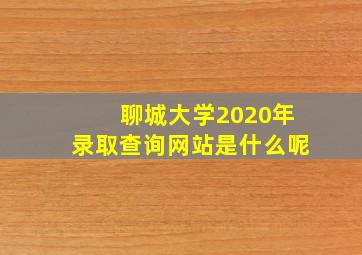 聊城大学2020年录取查询网站是什么呢