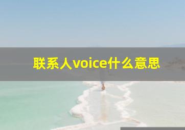 联系人voice什么意思