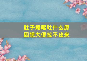 肚子痛呕吐什么原因想大便拉不出来