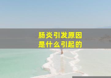 肠炎引发原因是什么引起的