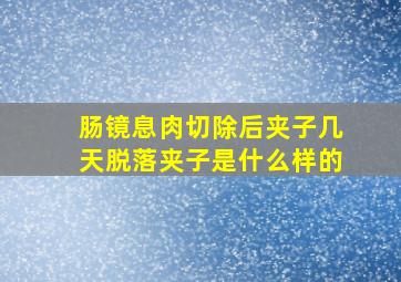 肠镜息肉切除后夹子几天脱落夹子是什么样的