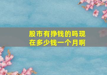 股市有挣钱的吗现在多少钱一个月啊