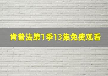 肯普法第1季13集免费观看