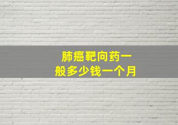 肺癌靶向药一般多少钱一个月