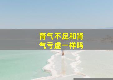 肾气不足和肾气亏虚一样吗