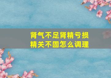 肾气不足肾精亏损精关不固怎么调理