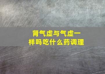 肾气虚与气虚一样吗吃什么药调理