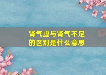 肾气虚与肾气不足的区别是什么意思