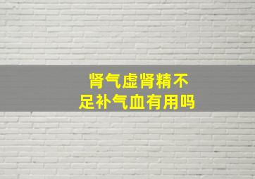 肾气虚肾精不足补气血有用吗