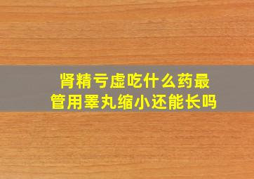 肾精亏虚吃什么药最管用睪丸缩小还能长吗