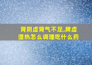 肾阴虚肾气不足,脾虚湿热怎么调理吃什么药