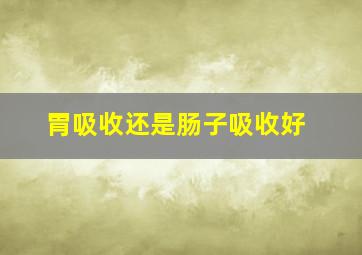 胃吸收还是肠子吸收好