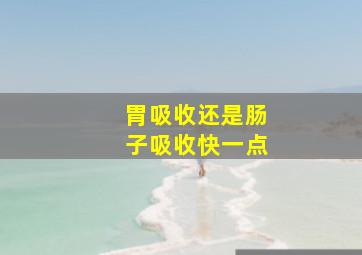 胃吸收还是肠子吸收快一点