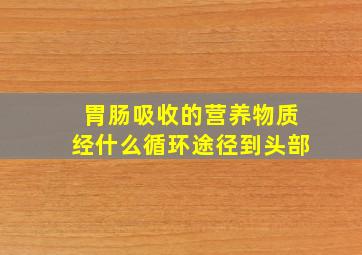 胃肠吸收的营养物质经什么循环途径到头部