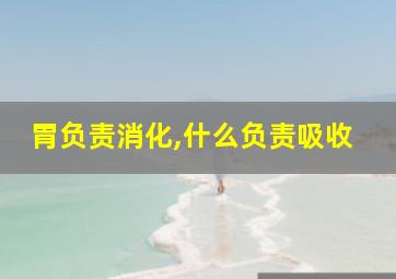 胃负责消化,什么负责吸收