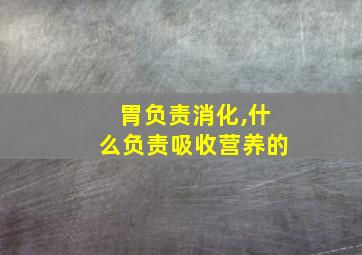 胃负责消化,什么负责吸收营养的