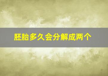 胚胎多久会分解成两个