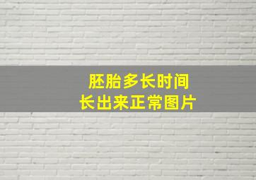 胚胎多长时间长出来正常图片