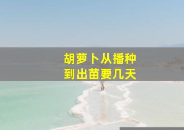 胡萝卜从播种到出苗要几天