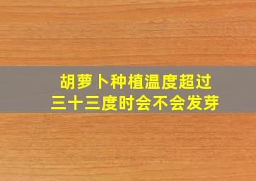 胡萝卜种植温度超过三十三度时会不会发芽