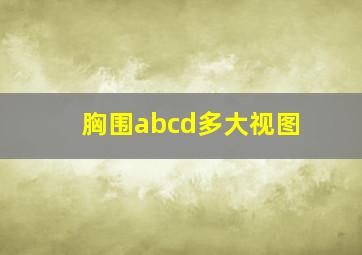 胸围abcd多大视图